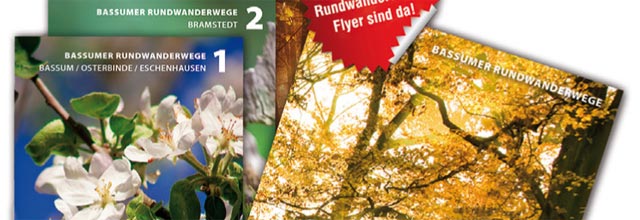 Erfolgreiche Projekte